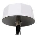 Ventev Multiband 6-in-1 VenDome Omni Antenna with SMA Male - RPSMA Male Connectors-VM-UWG231OD-SM